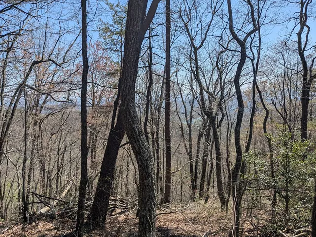 $99,777 | 1-2 Kimsey Mountain Highway, Turtletown, TN 37391