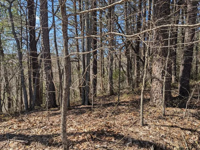 $99,777 | 1-2 Kimsey Mountain Highway, Turtletown, TN 37391