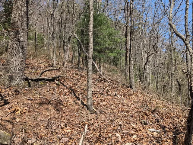 $99,777 | 1-2 Kimsey Mountain Highway, Turtletown, TN 37391