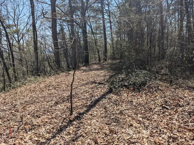 $99,777 | 1-2 Kimsey Mountain Highway, Turtletown, TN 37391