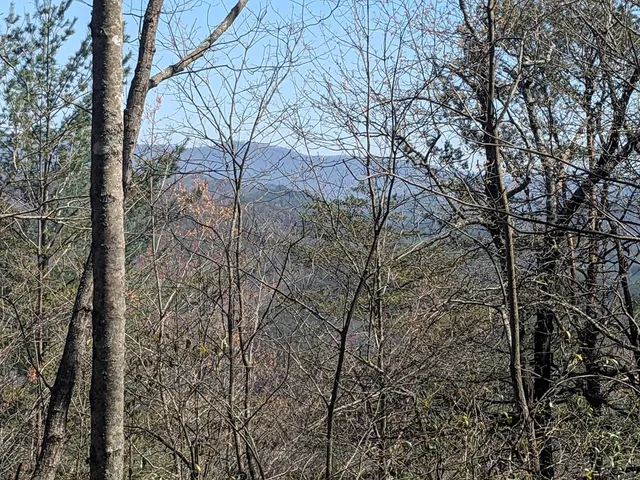 $99,777 | 1-2 Kimsey Mountain Highway, Turtletown, TN 37391