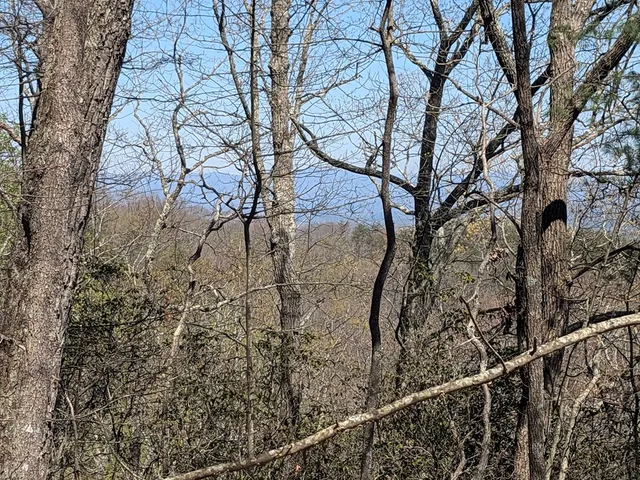 $99,777 | 1-2 Kimsey Mountain Highway, Turtletown, TN 37391