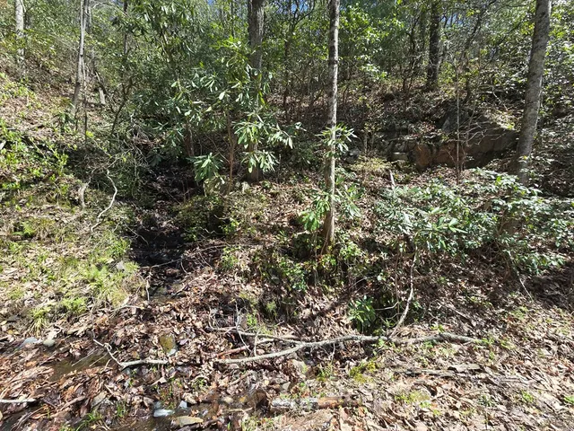 $99,777 | 1-2 Kimsey Mountain Highway, Turtletown, TN 37391