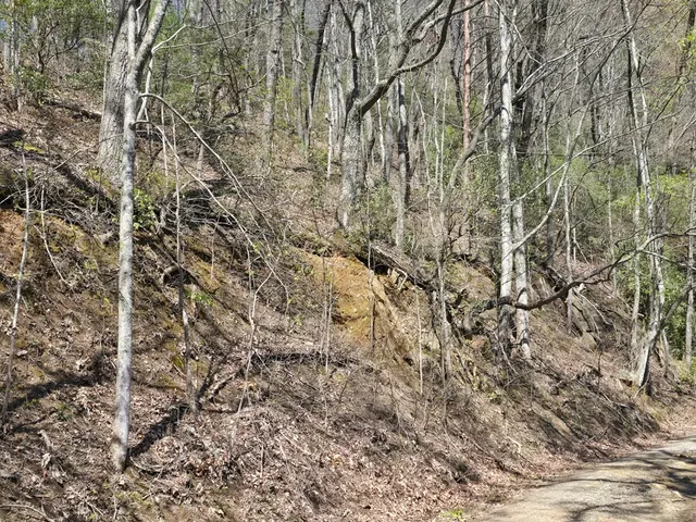 $99,777 | 1-2 Kimsey Mountain Highway, Turtletown, TN 37391