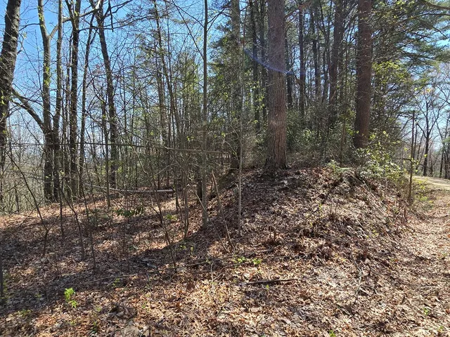 $99,777 | 1-2 Kimsey Mountain Highway, Turtletown, TN 37391