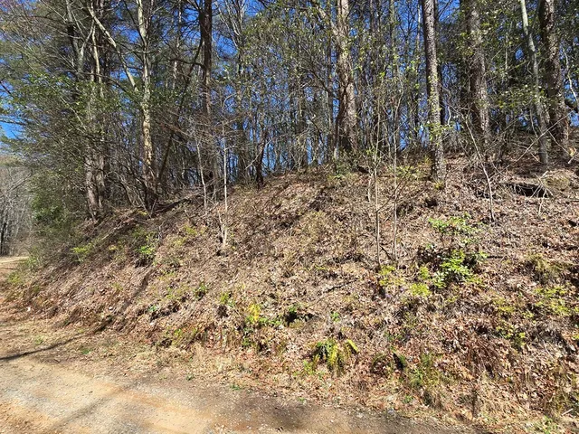 $99,777 | 1-2 Kimsey Mountain Highway, Turtletown, TN 37391