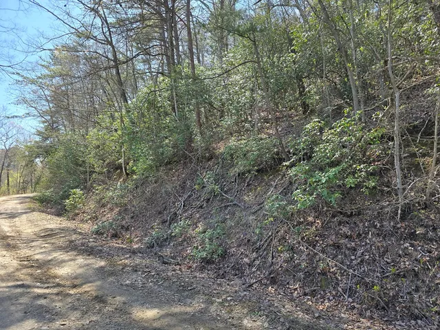 $99,777 | 1-2 Kimsey Mountain Highway, Turtletown, TN 37391