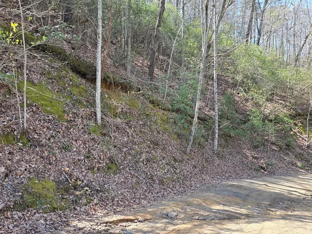 $99,777 | 1-2 Kimsey Mountain Highway, Turtletown, TN 37391