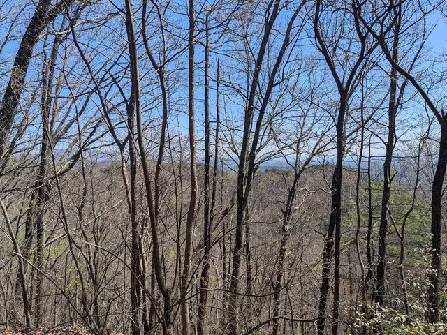 $99,777 | 1-2 Kimsey Mountain Highway, Turtletown, TN 37391