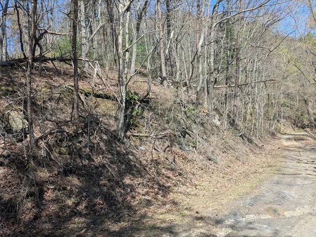 $99,777 | 1-2 Kimsey Mountain Highway, Turtletown, TN 37391