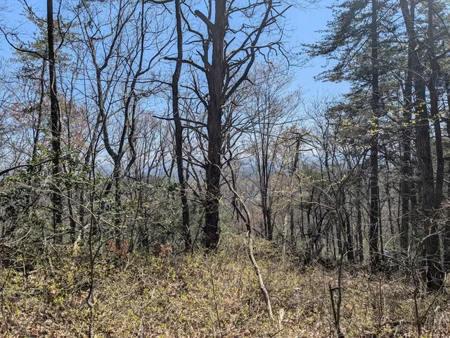 $99,777 | 1-2 Kimsey Mountain Highway, Turtletown, TN 37391