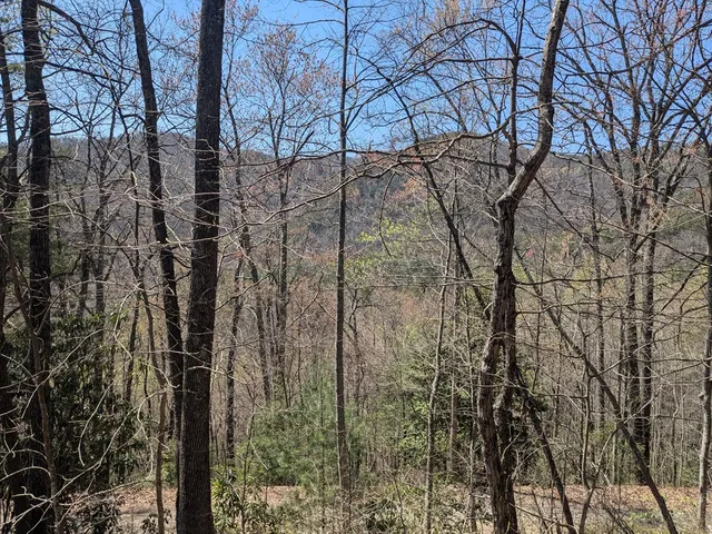 $99,777 | 1-2 Kimsey Mountain Highway, Turtletown, TN 37391