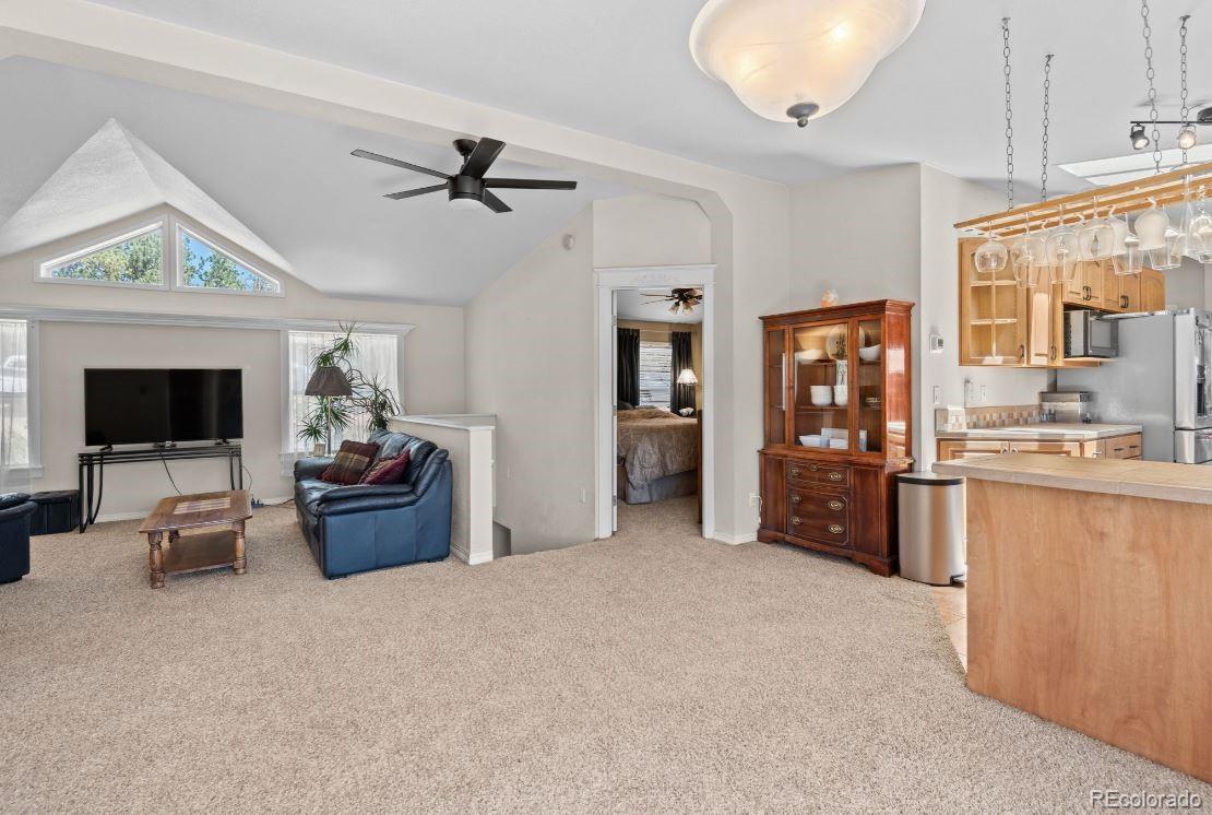 33626 Lutes Road Pine, CO 80470 - Photo 7 of 35