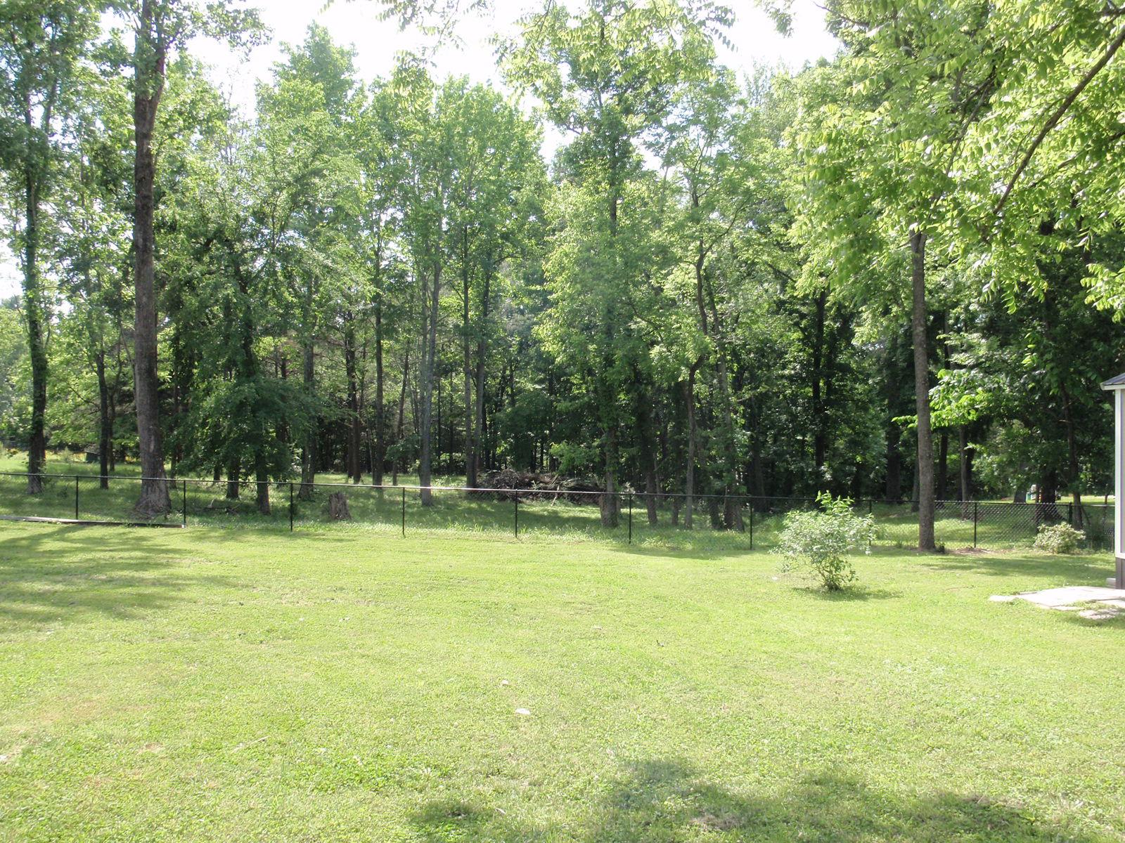 206 Black Road Dickson, TN 37055 - Photo 6 of 22 a view of a swimming pool with a yard