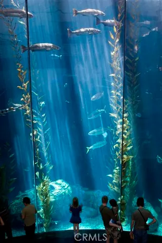 $439,000 | 800 East Ocean Boulevard, Unit 504, Long Beach, CA 90802