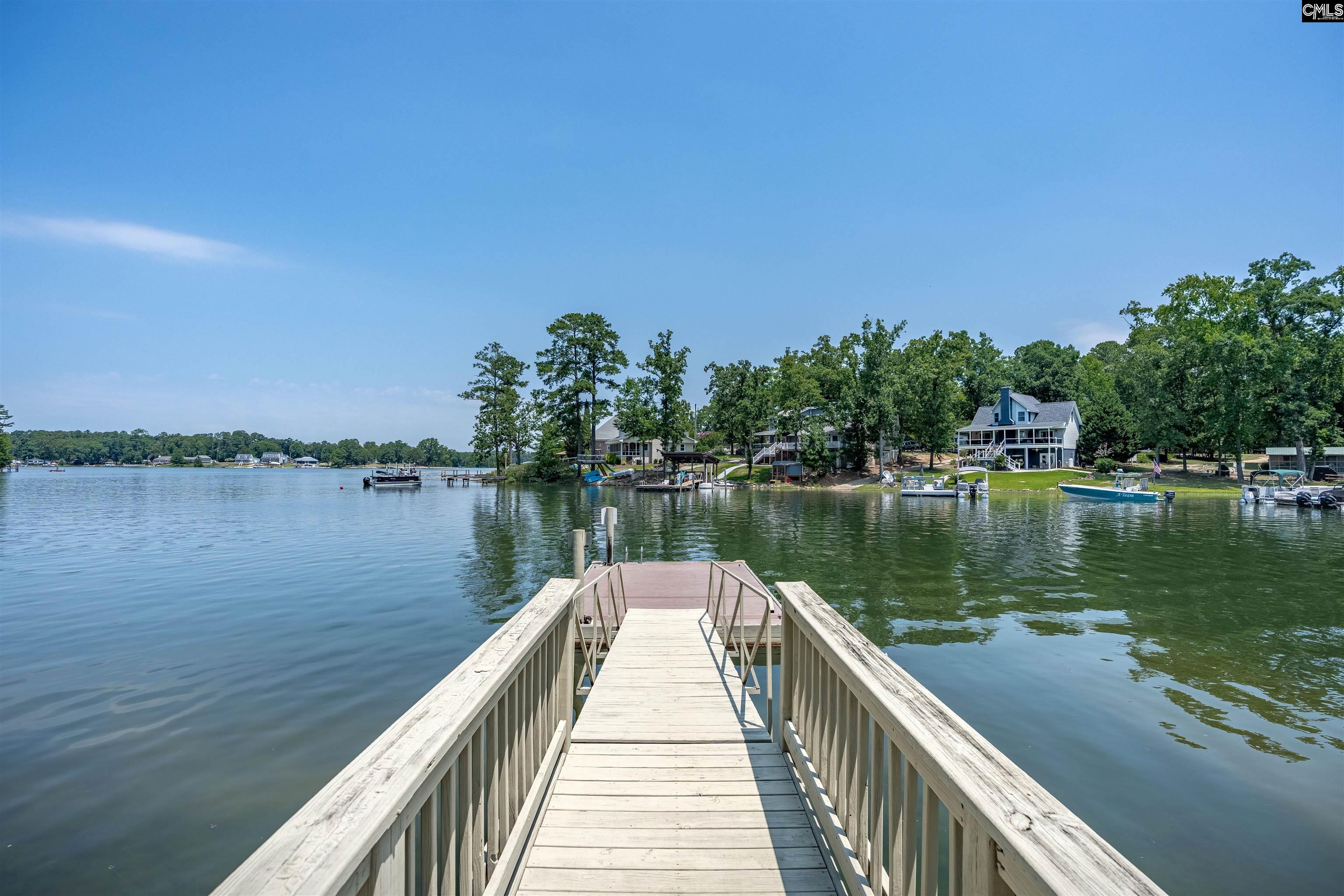 238 Hilton View Court Chapin, SC 29036 - Photo 60 of 63