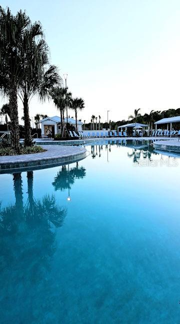 16890 Forge Surf Street Land O Lakes, FL 34638 - Photo 14 of 26 a view of lake