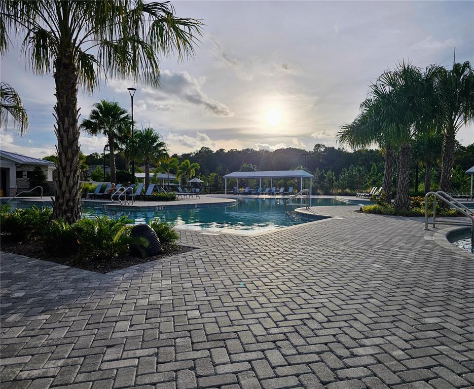 16890 Forge Surf Street Land O Lakes, FL 34638 - Photo 15 of 26 a view of swimming pool and lake view