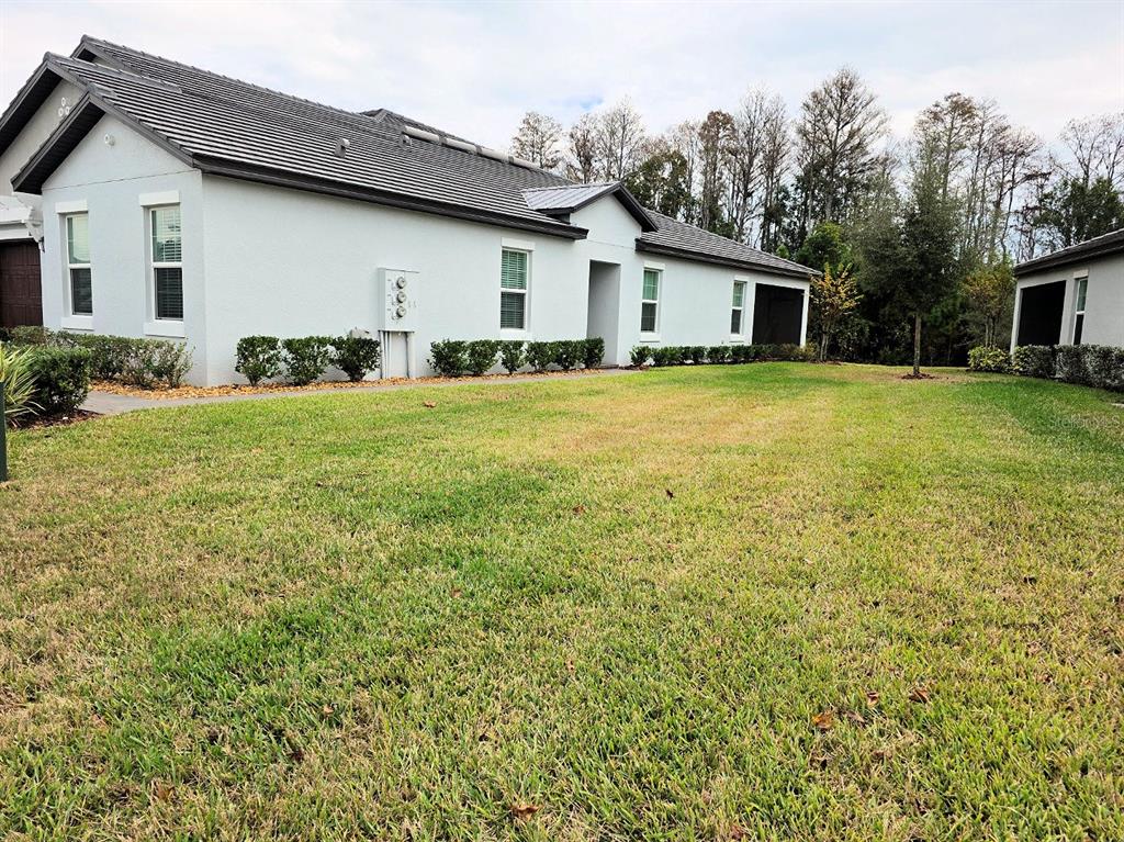 16890 Forge Surf Street Land O Lakes, FL 34638 - Photo 2 of 26 a front view of house with yard and trees