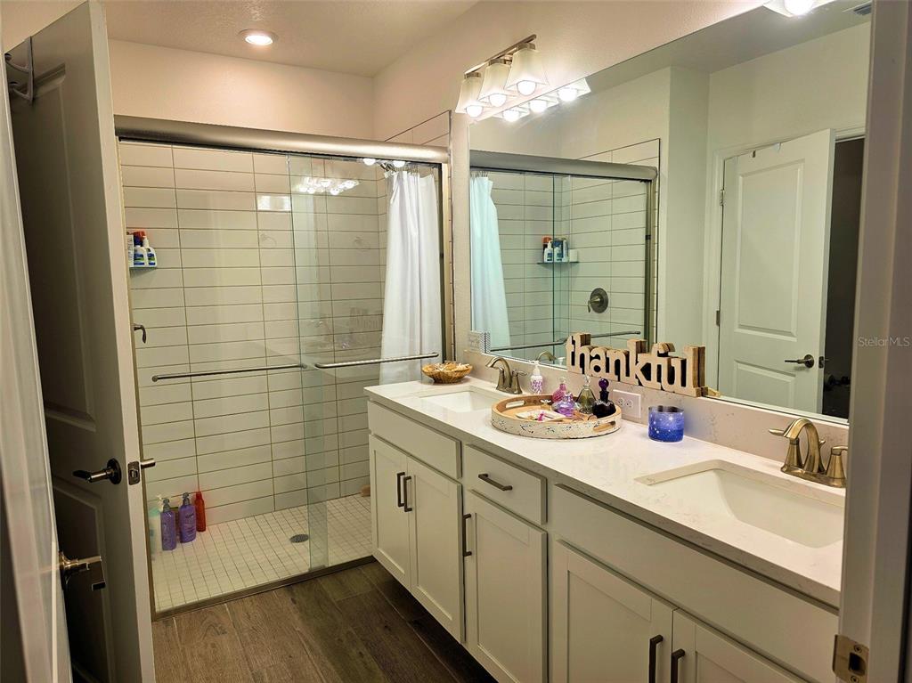 16890 Forge Surf Street Land O Lakes, FL 34638 - Photo 23 of 26 a bathroom with a double vanity sink a mirror and shower