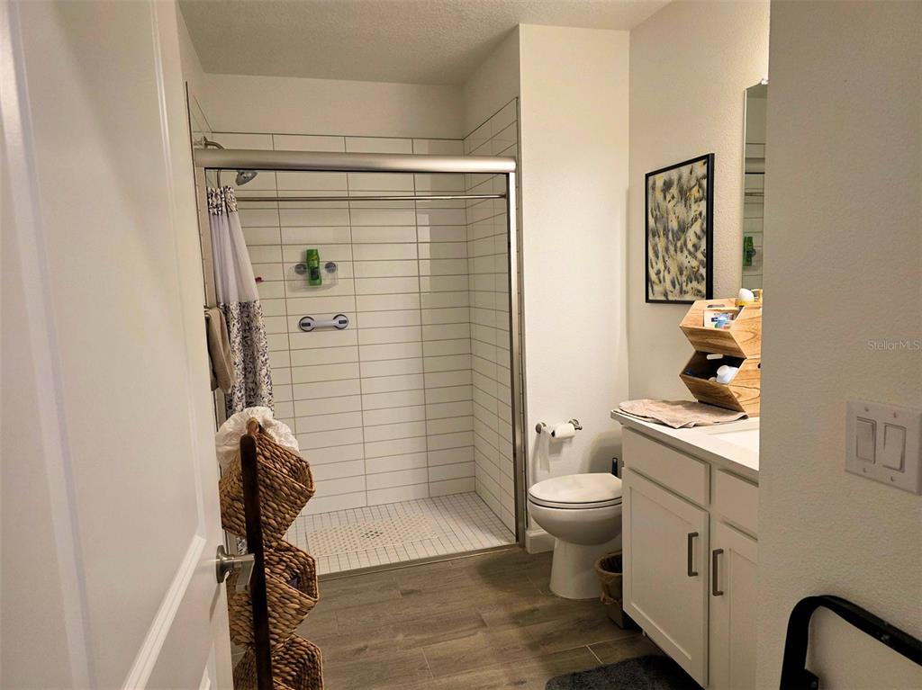 16890 Forge Surf Street Land O Lakes, FL 34638 - Photo 10 of 26 a bathroom with a granite countertop toilet a sink and shower