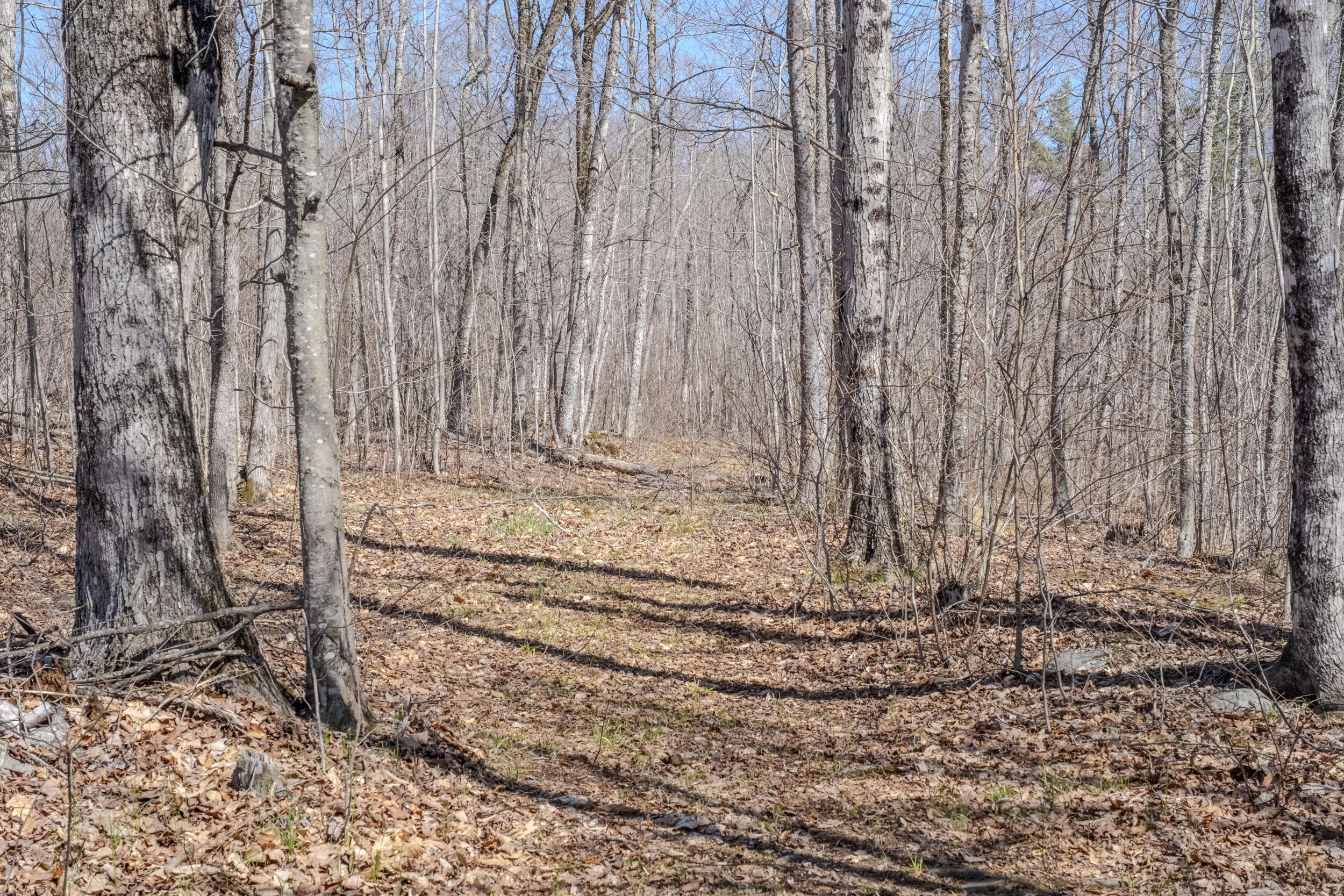 59 Palmer Road Skowhegan, ME 04976 - Photo 11 of 51 59_palmer_rd_exterior-6
