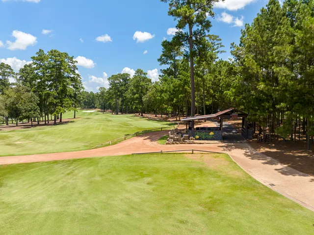 a view of a swimming pool with a yard and plants