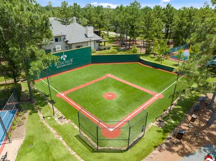 an aerial view of a residential houses with outdoor space and trees