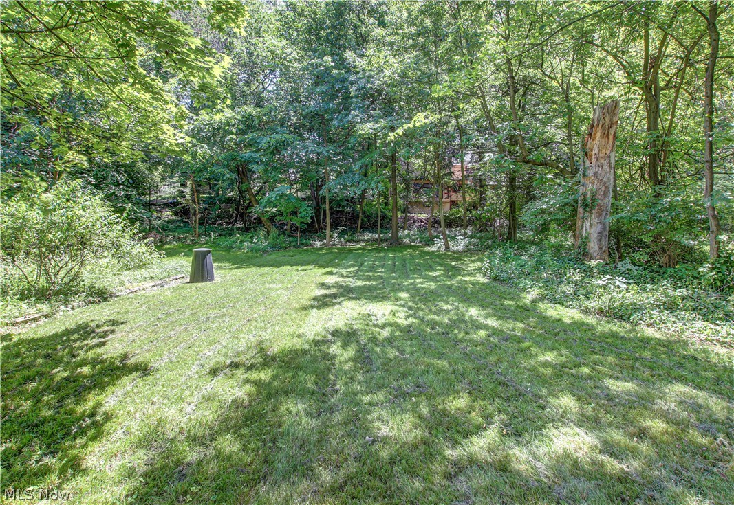 3920 Orchard Road Cleveland Heights, OH 44121 - Photo 29 of 31