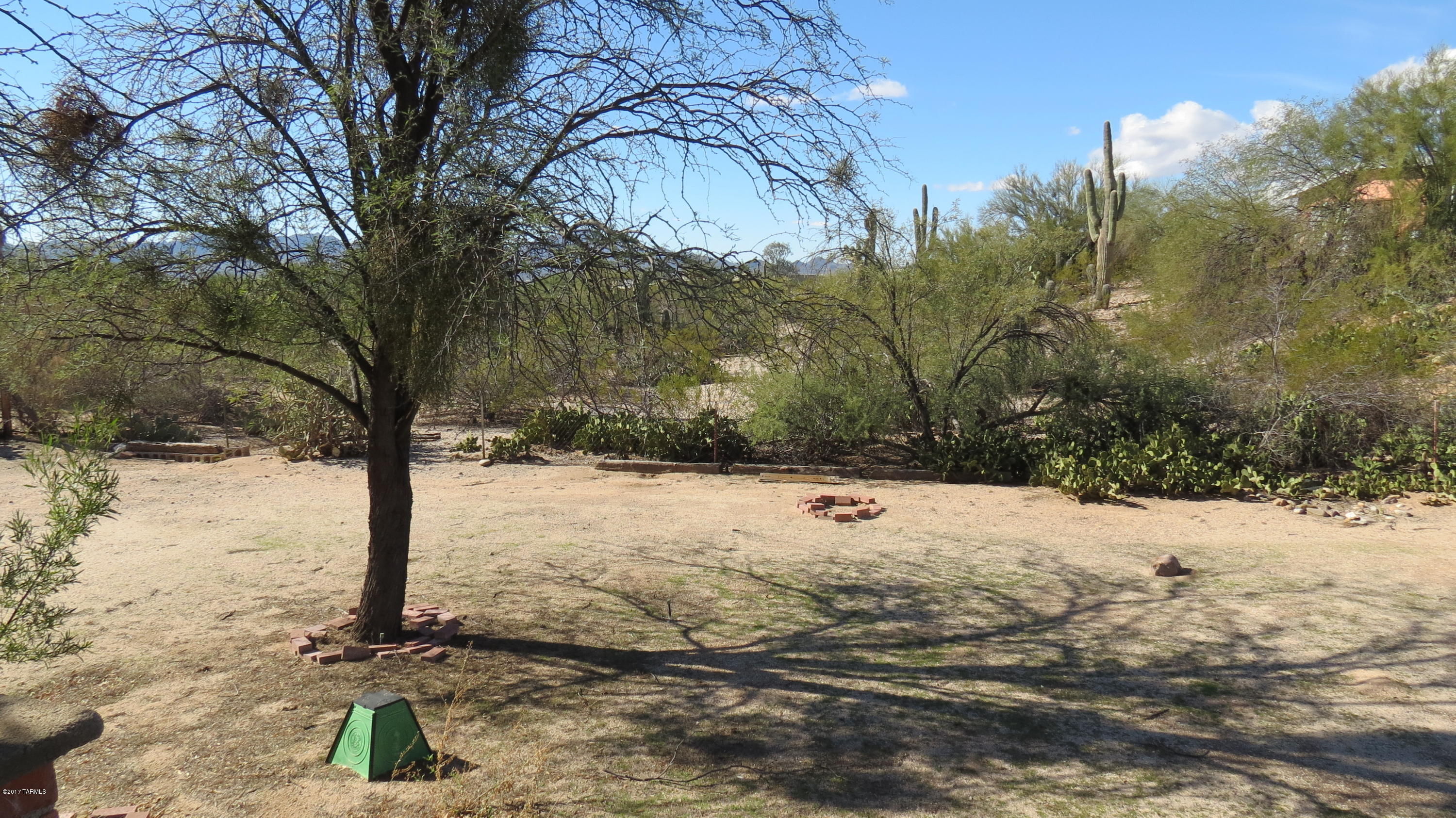 6601 North Mona Lisa Road Tucson, AZ 85741 - Photo 22 of 23 a view of a yard with trees