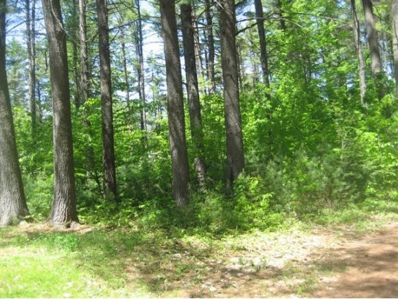 Lot #65 Shore Road East Wakefield, NH 03830 - Photo 1 of 1 Gallery Image 1
