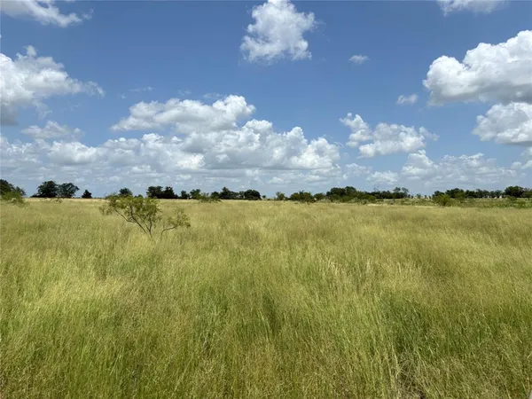 a view of a large body of water with lots of trees