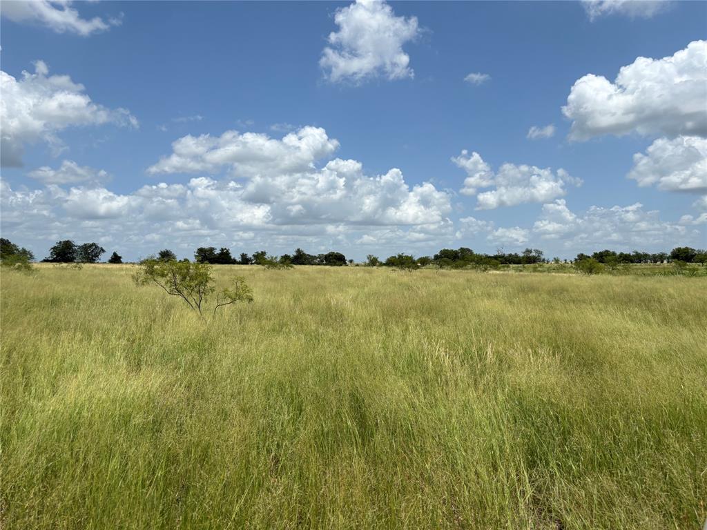 a view of a large body of water with lots of trees