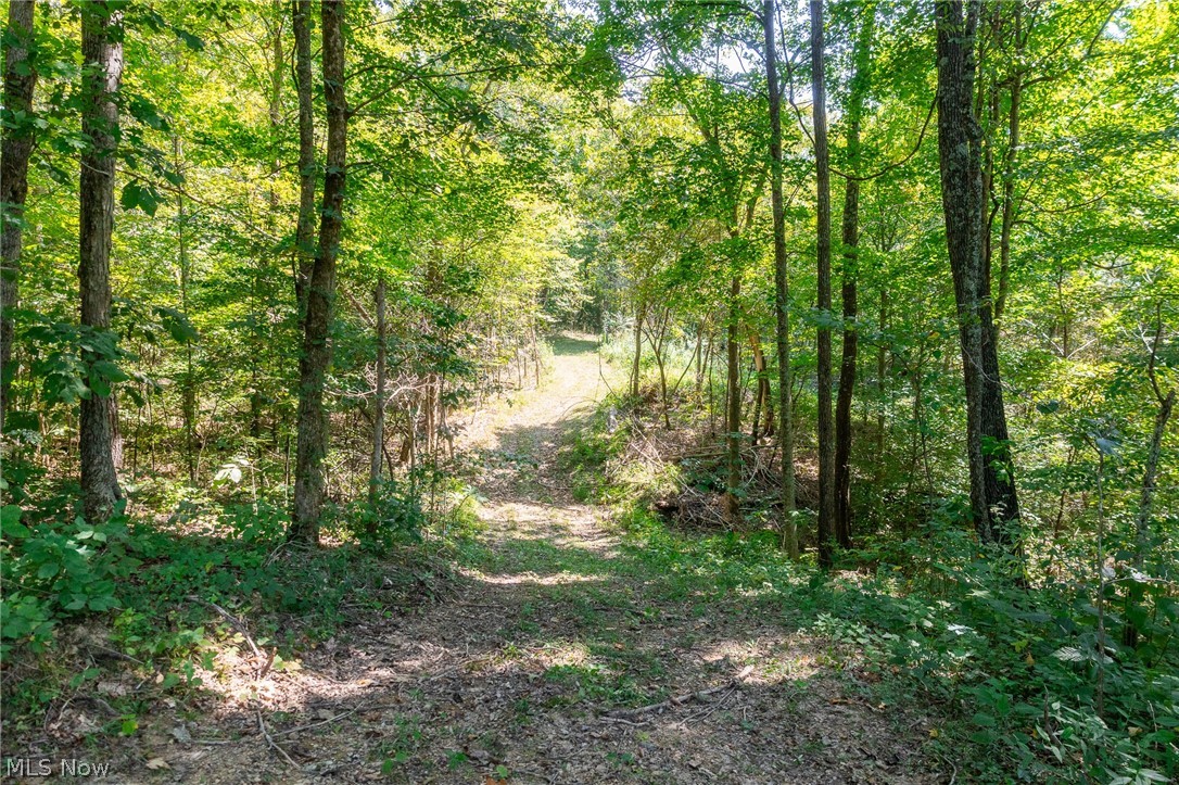 0 County Road Glouster, OH 45732 - Photo 19 of 24 Gallery Image 19
