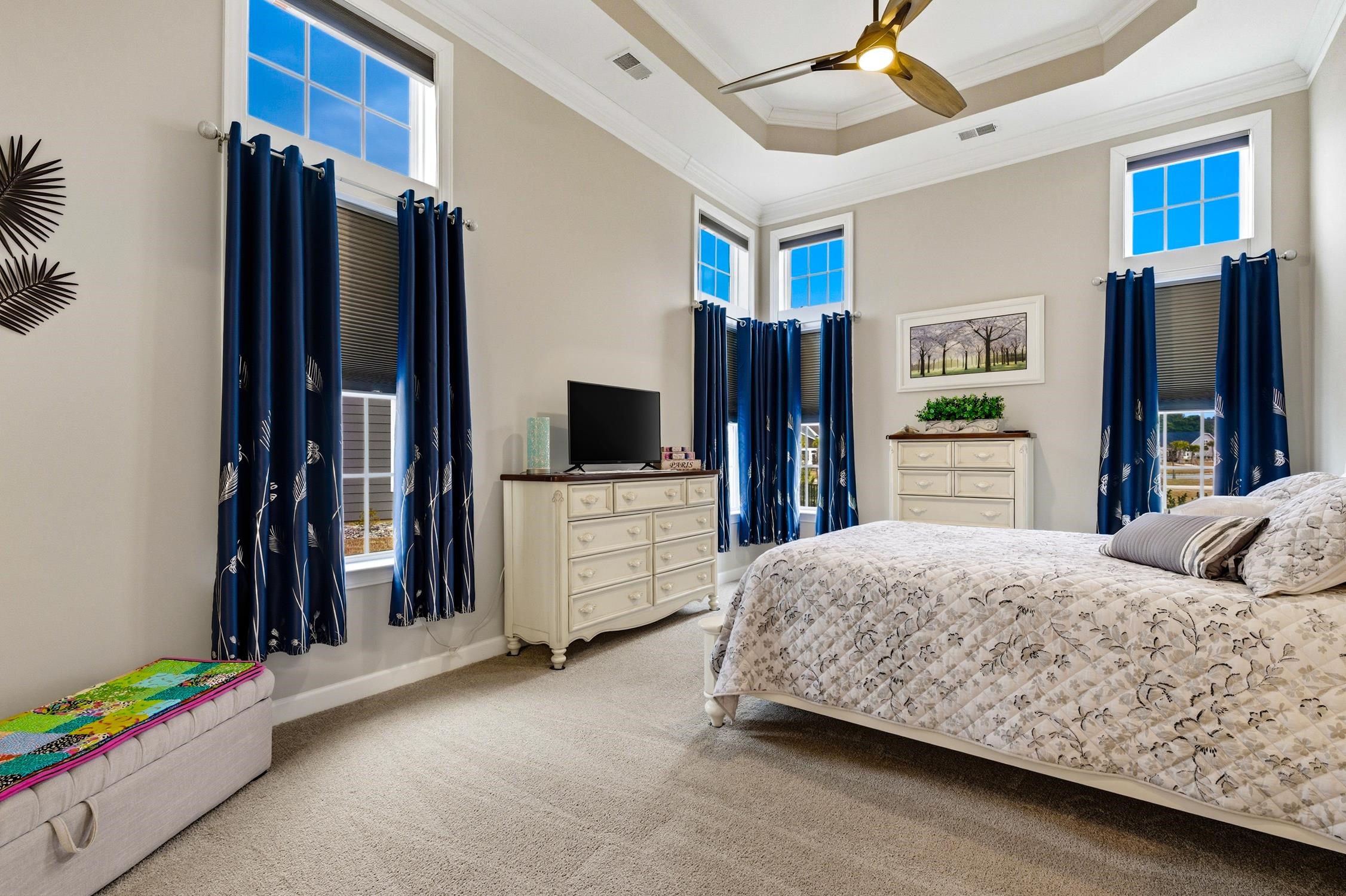 236 Bluestem Loop Little River, SC 29566 - Photo 15 of 40 Bedroom with a tray ceiling, carpet, ornamental molding, ceiling fan, and a high ceiling