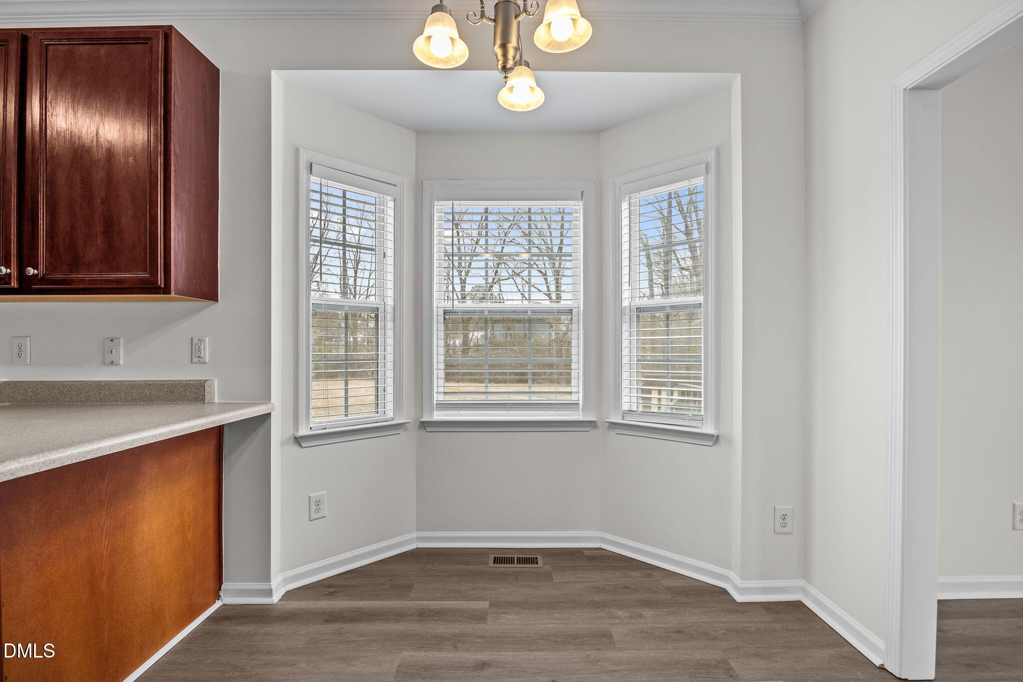 1305 Tawny View Lane Raleigh, NC 27603 - Photo 14 of 47 a view of an empty room with window and hardwood floor