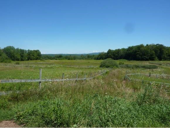 49 S Road Deerfield, NH 03037 - Photo 23 of 32 Gallery Image 23