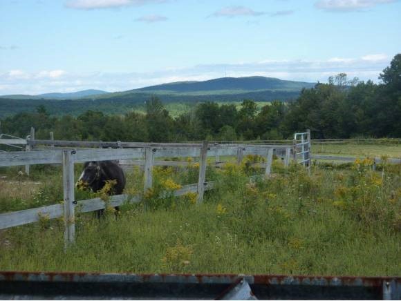 49 S Road Deerfield, NH 03037 - Photo 25 of 32 Gallery Image 25
