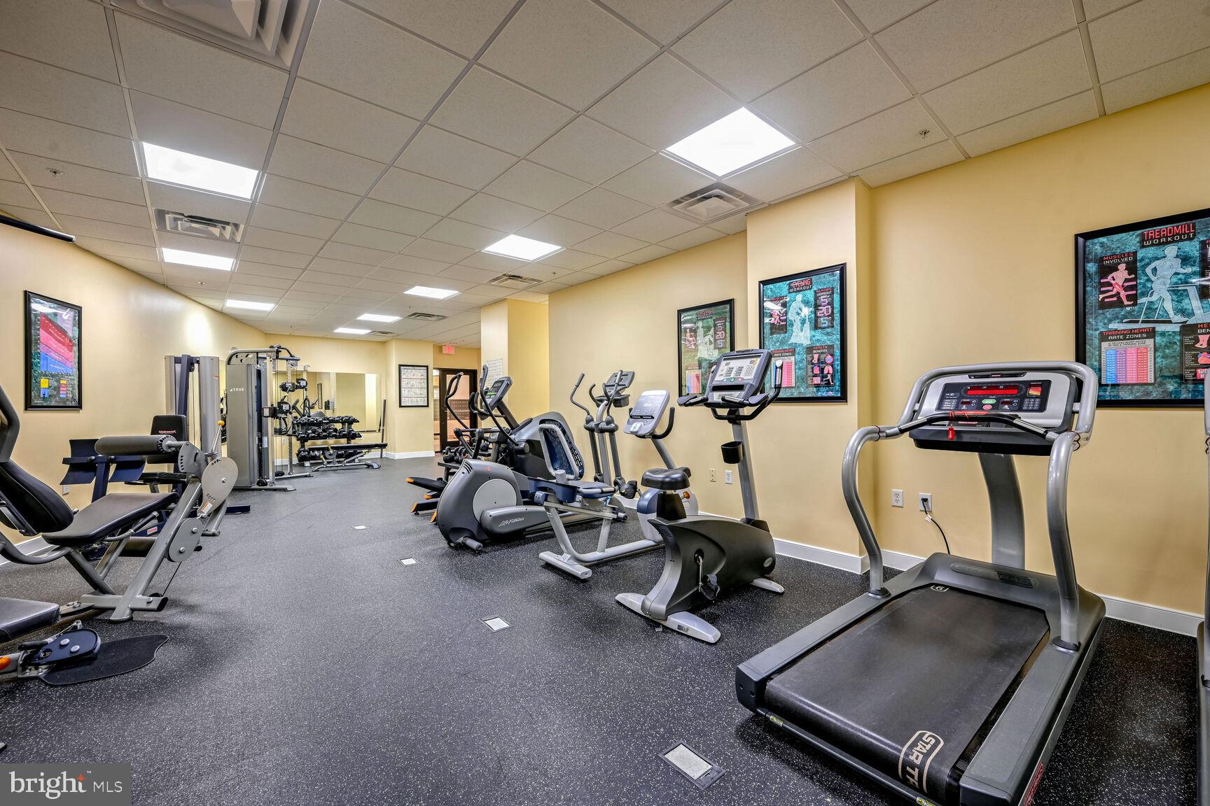 8045 Newell Street, Unit 516 Silver Spring, MD 20910 - Photo 27 of 33 a view of a room with gym equipment