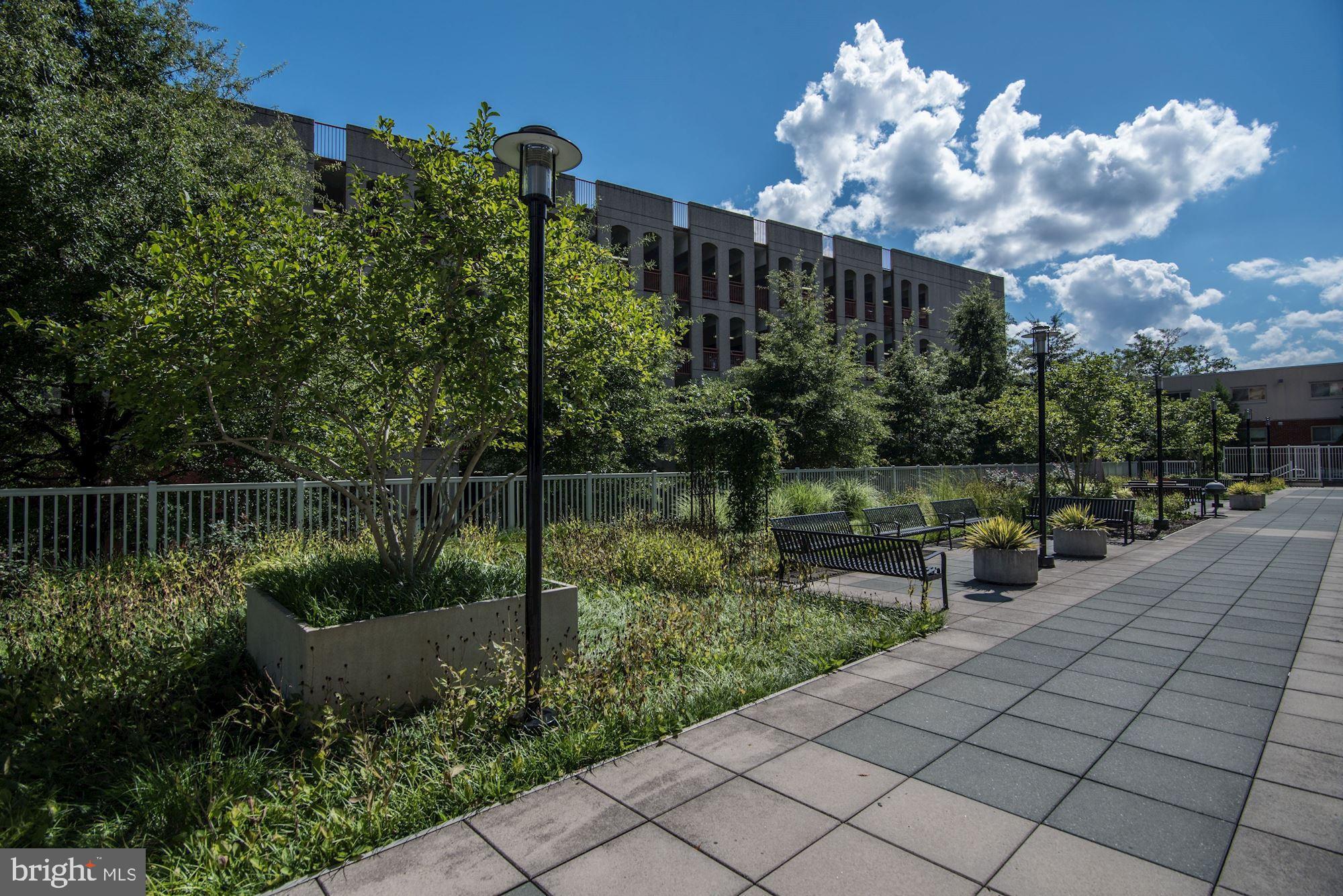 8045 Newell Street, Unit 516 Silver Spring, MD 20910 - Photo 29 of 33 a garden view with a sitting space