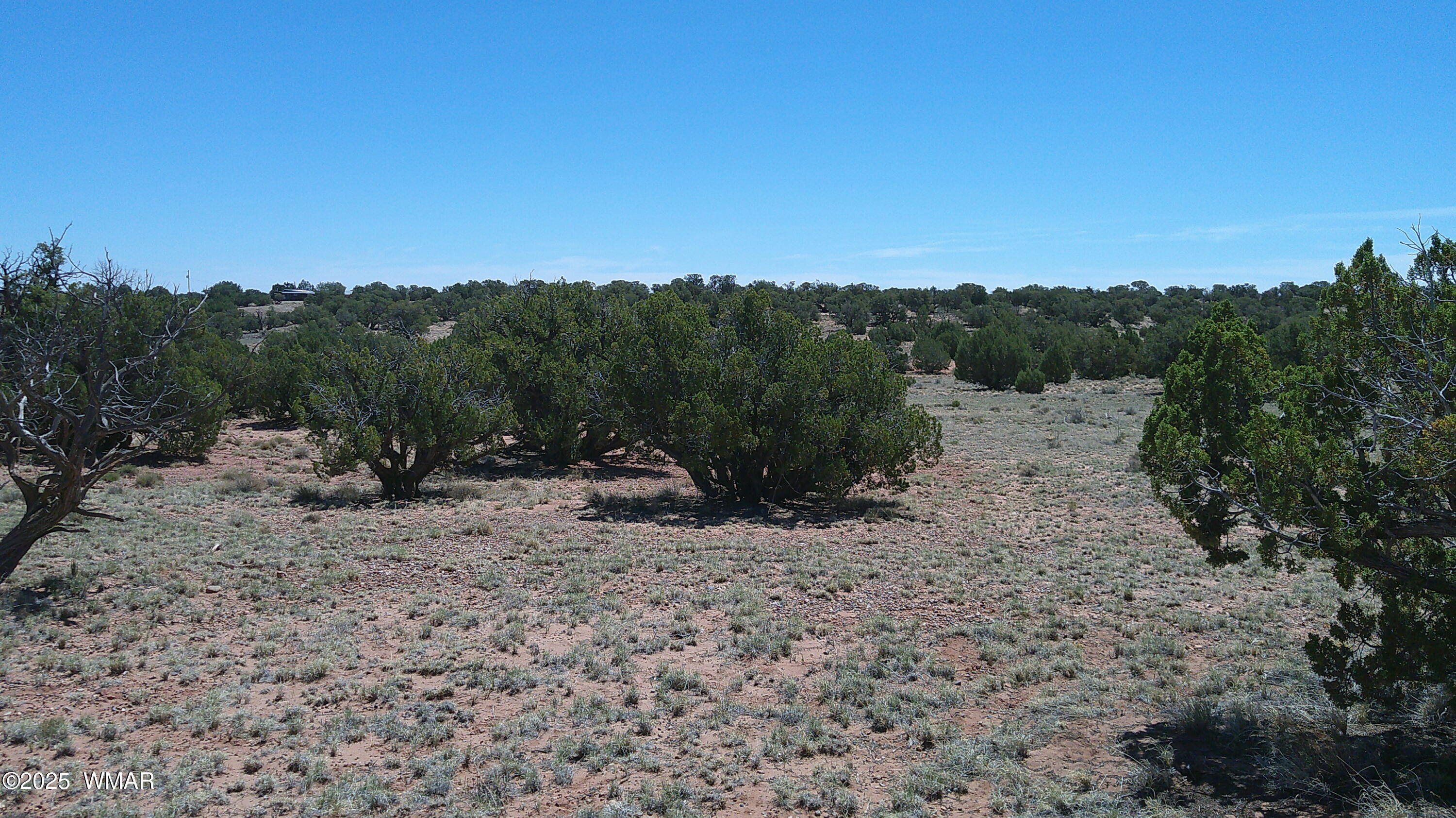 Tbd Tbd Rio Ranch Concho, AZ 85924 - Photo 10 of 44 DSCF0026