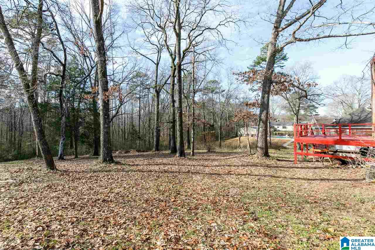 4449 Silver Lake Road Pinson, AL 35126 - Photo 4 of 30