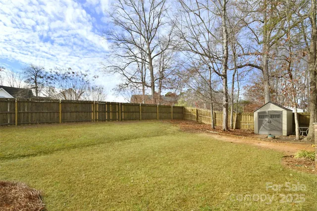 a view of a yard with a trees