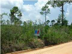 1 F Don Bishop Road Santa Rosa Beach, FL 32459 - Photo 1 of 2 Gallery Image 1