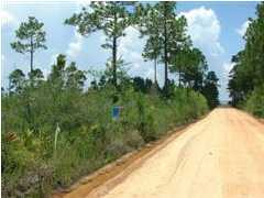 1 F Don Bishop Road Santa Rosa Beach, FL 32459 - Photo 2 of 2 Gallery Image 2