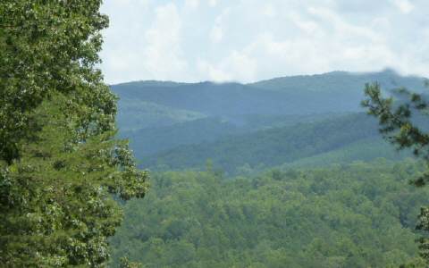 Trout Farm Road Talking Rock, GA 30175 - Photo 1 of 1 Main View