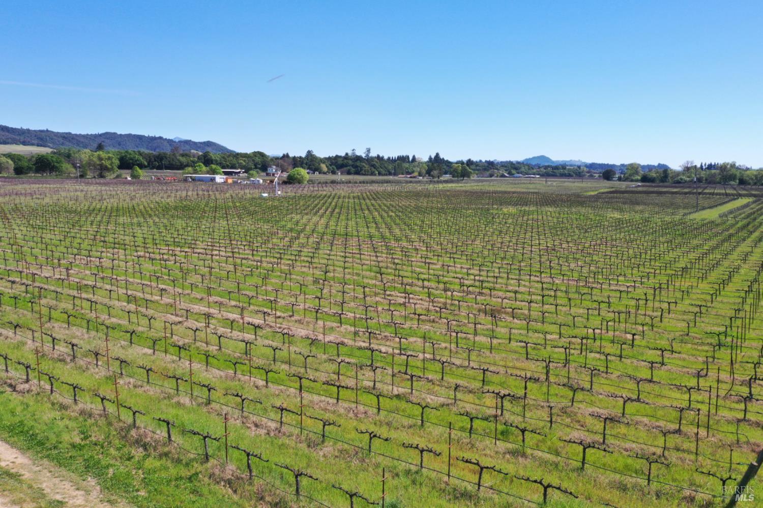 4304 Dry Creek Road Healdsburg, CA 95448 - Photo 20 of 59