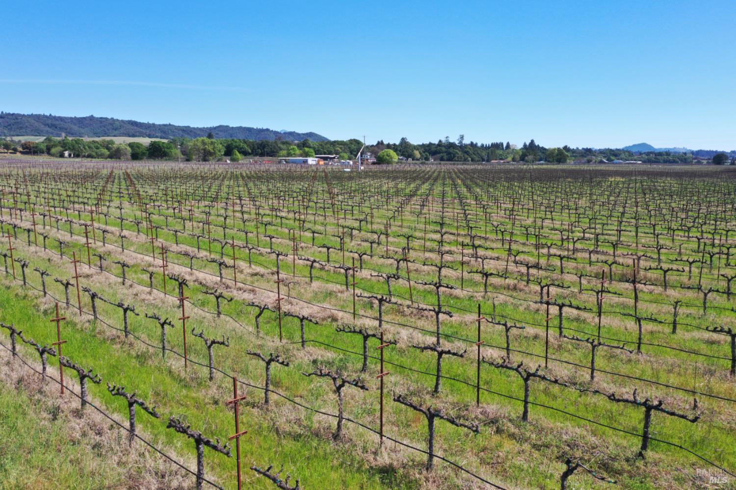 4304 Dry Creek Road Healdsburg, CA 95448 - Photo 21 of 59