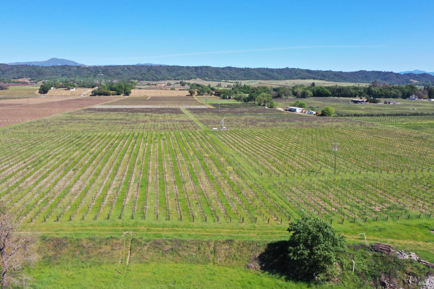 4304 Dry Creek Road Healdsburg, CA 95448 - Photo 24 of 59