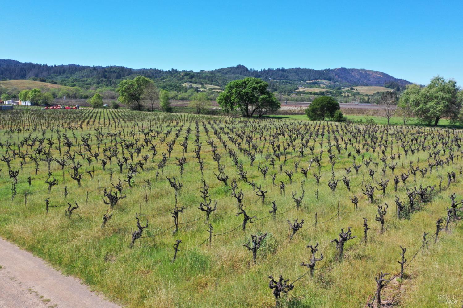 4304 Dry Creek Road Healdsburg, CA 95448 - Photo 33 of 59